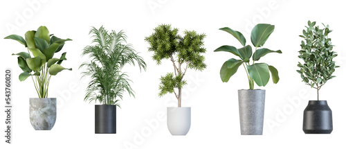 Fotografiet Plants in 3d renderinBeautiful plant in 3d rendering isolatedg isolated