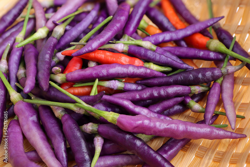 Close up of Fresh purple chilli, Purple 'Buena Mulata' hot chili pepper on white background.Top view photo