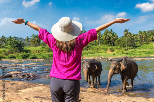 Photography Woman and elephants in Sri Lanka