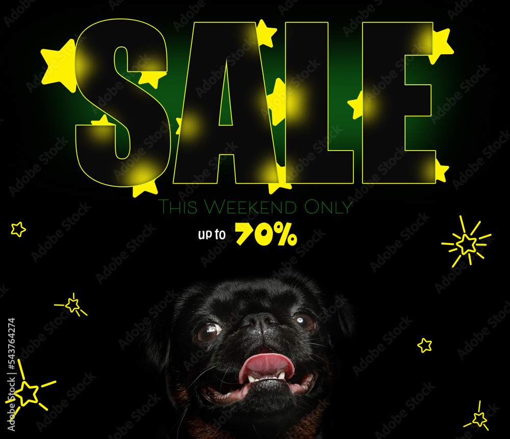 Sale pet shop hotsell