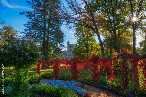 Gartenanlage im öffentlichen Park Babelsberg in Potsdam mit dem Schloß im Hintergrund photo