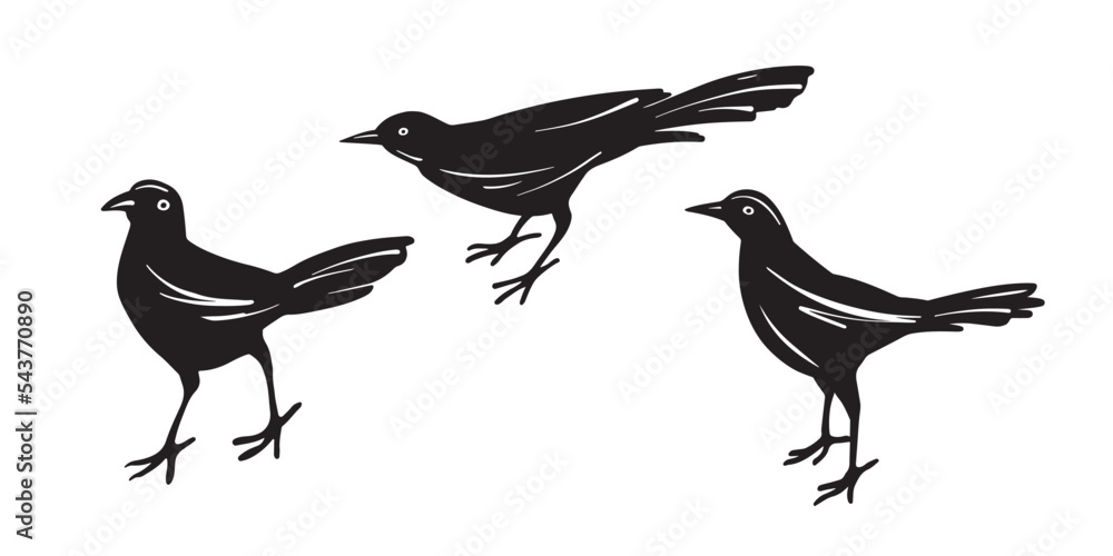 Fototapeta premium Cute Animal set with black birds. Hand drawn sketch style. Isolated on white background. Vector illustration.