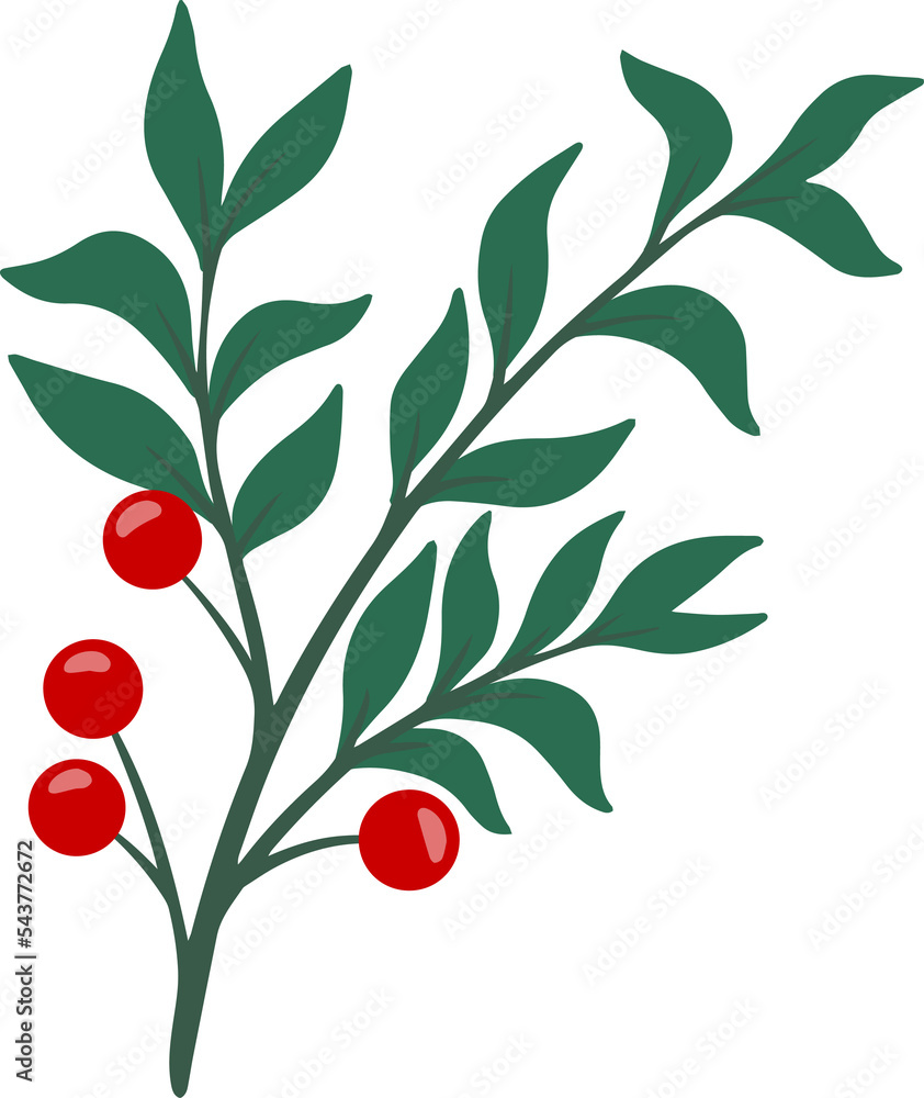 Christmas Holly Leaf Illustration
Christmas Holly Leaf Illustration