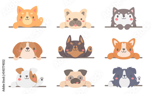 cartoon pet text frame cute dogs and cats for kids
