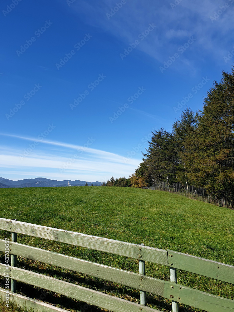 Fototapeta premium landscape with fence and sky