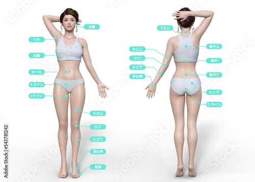脱毛の施術箇所が記載された3dのモデル女性の正面と後ろ向き