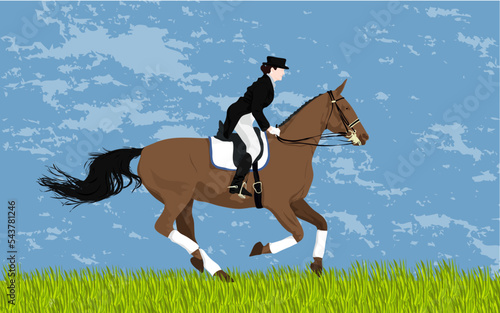 riding horse 