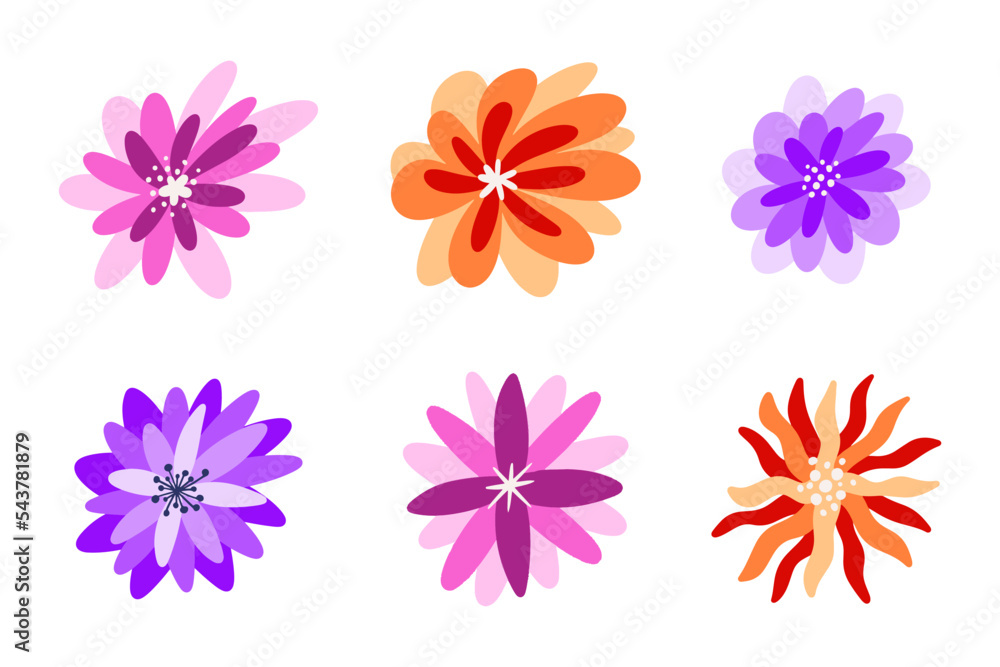 Set of beautiful flower illustration for design element