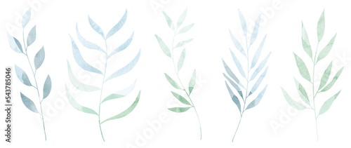 Set of winter botanical watercolor leaf branches background vector illustration. Collection of watercolor pastel winter wild foliages on white background. Design for sticker  poster  banner  card.