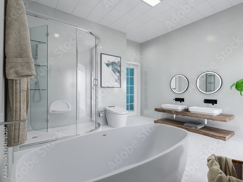 Bathroom interior design with bathtub and toilet  3D rendering