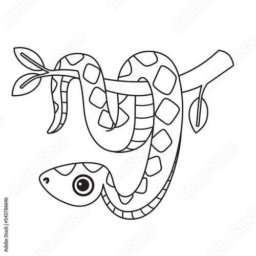 Smiling boa character hanging on a tree branch. Vector coloring book page. Cute snake illustration isolated on a white background