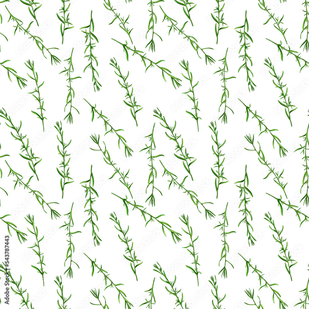 Obraz premium drawing seamless pattern with plant of estragon, Tarragon, Artemisia dracunculus, medicinal plants, aromatic herbs, hand drawn illustration