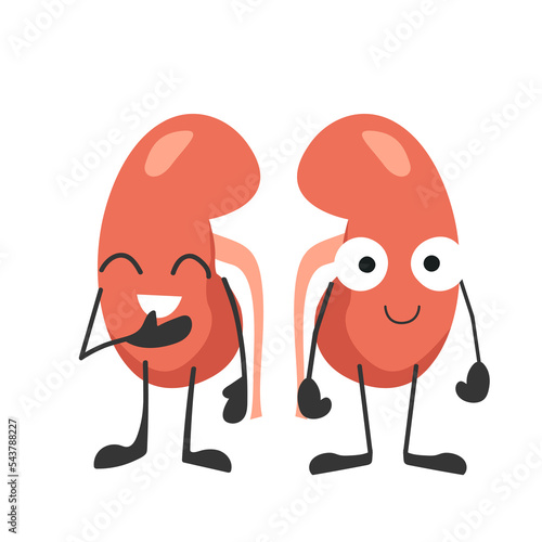Human kidneys with eyes. Happy kidneys. Organ with emotions, cartoon style. Vector illustration