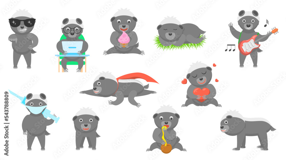 Obraz premium Set Abstract Collection Flat Cartoon Different Animal Honey Badgers Vector Design Style Elements Fauna Wildlife