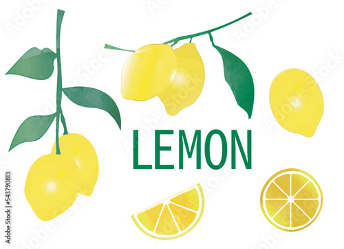 LEMON