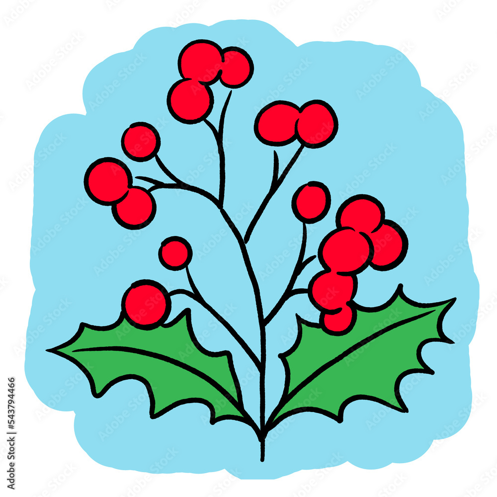 Mistletoe leaves and berries decorative element for Christmas and new year design. Traditional winter holidays green and red decoration. Hand drawn illustration, line style drawing.