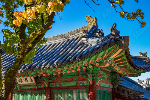 Photography fall in seoul