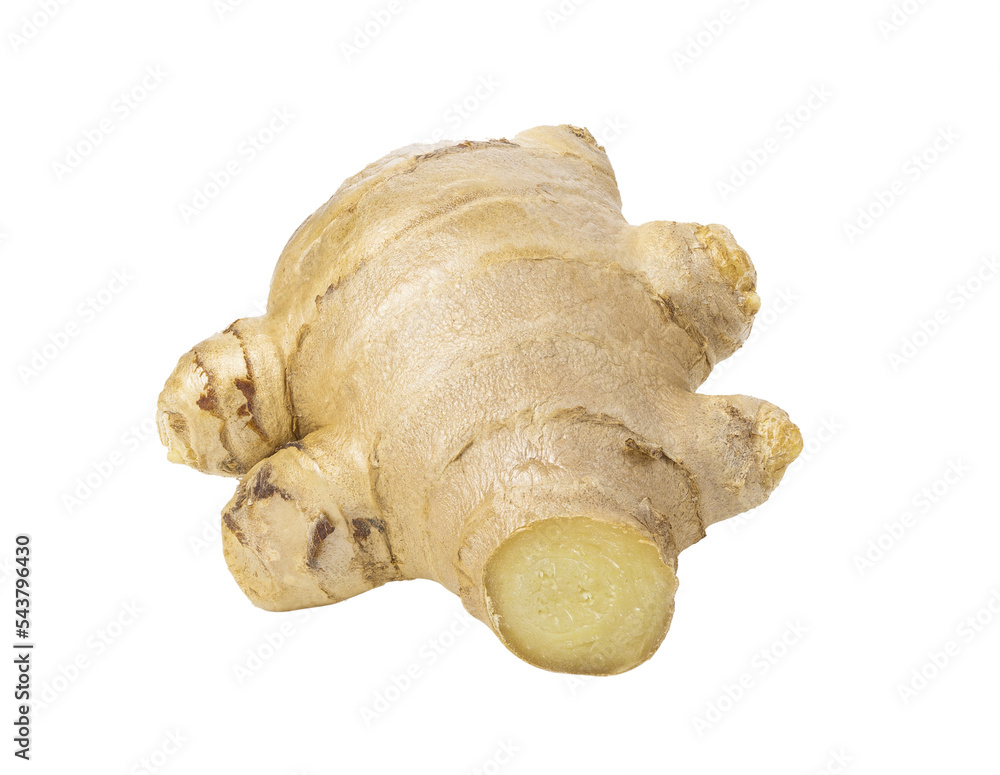 fresh ginger isolated on transparent png