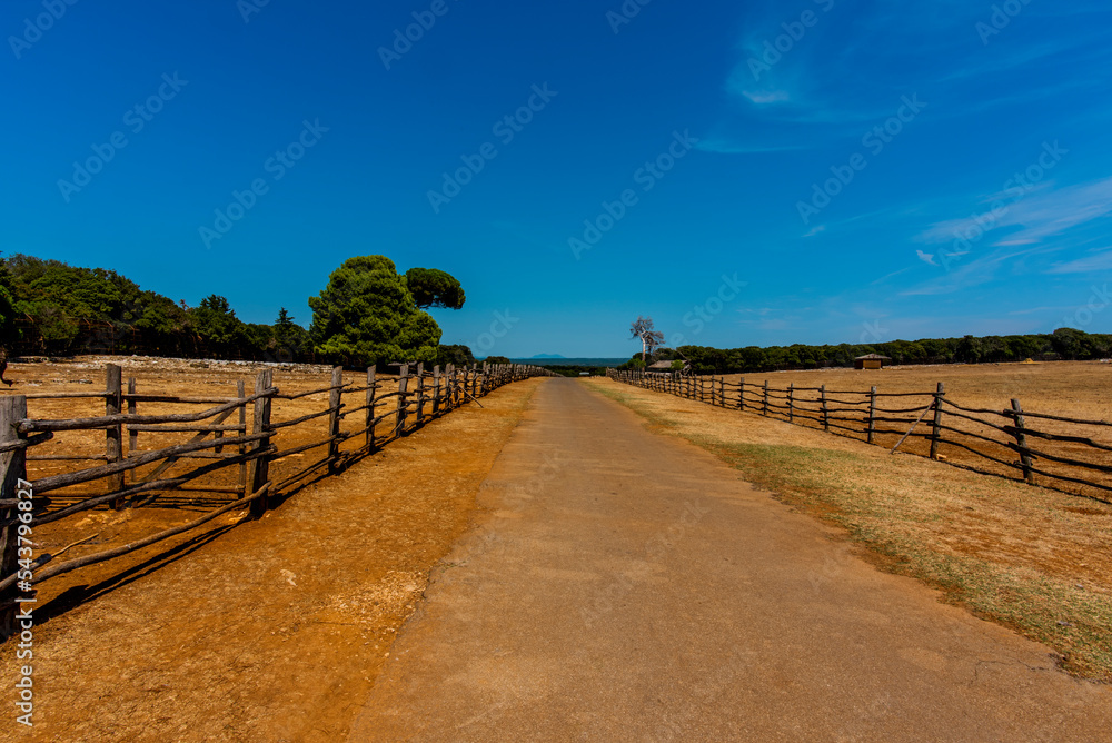 2022 08 09 Croazia land and sky 3