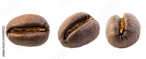 Roasted peaberry coffee beans (also known in Spanish as caracolillo) isolated on white background