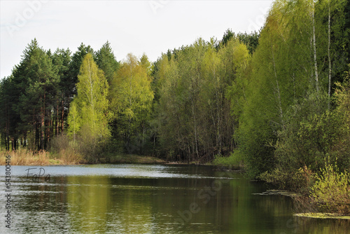 lake in the forest