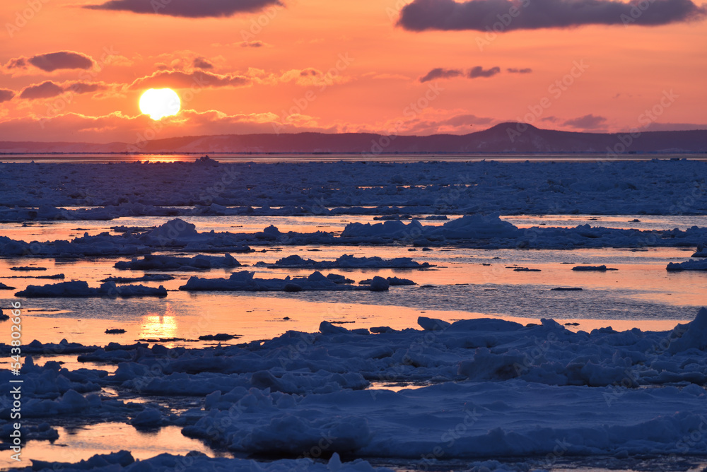 Fototapeta premium Bird watching with floating ices in winter