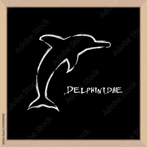 Dolphin icon hand drawn in chalk. Latin inscription. School board in a light wooden frame. 3D realistic vector illustration.