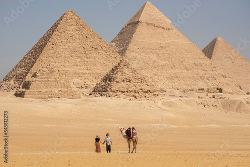 Camels at Pyramids of Giza