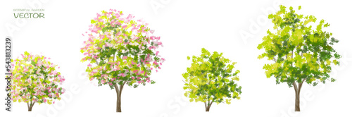 Vector watercolor blooming flower tree or forest side view isolated on white background for landscape and architecture drawing elements for environment and garden botanical for section in spring 
