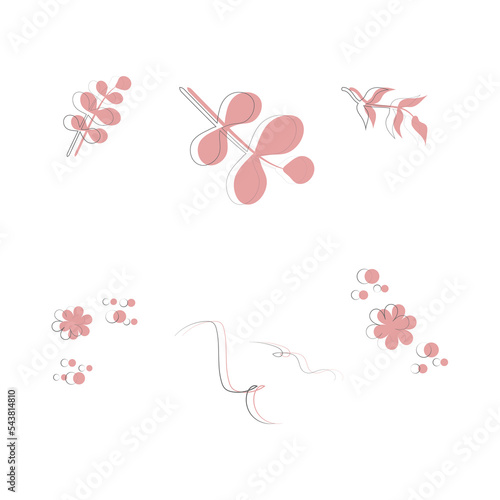 Colored set of pink floral elements with lines. Flowers and leaves. For wedding, floral poster, invite. Vector arrangements for greeting card or invitation design.