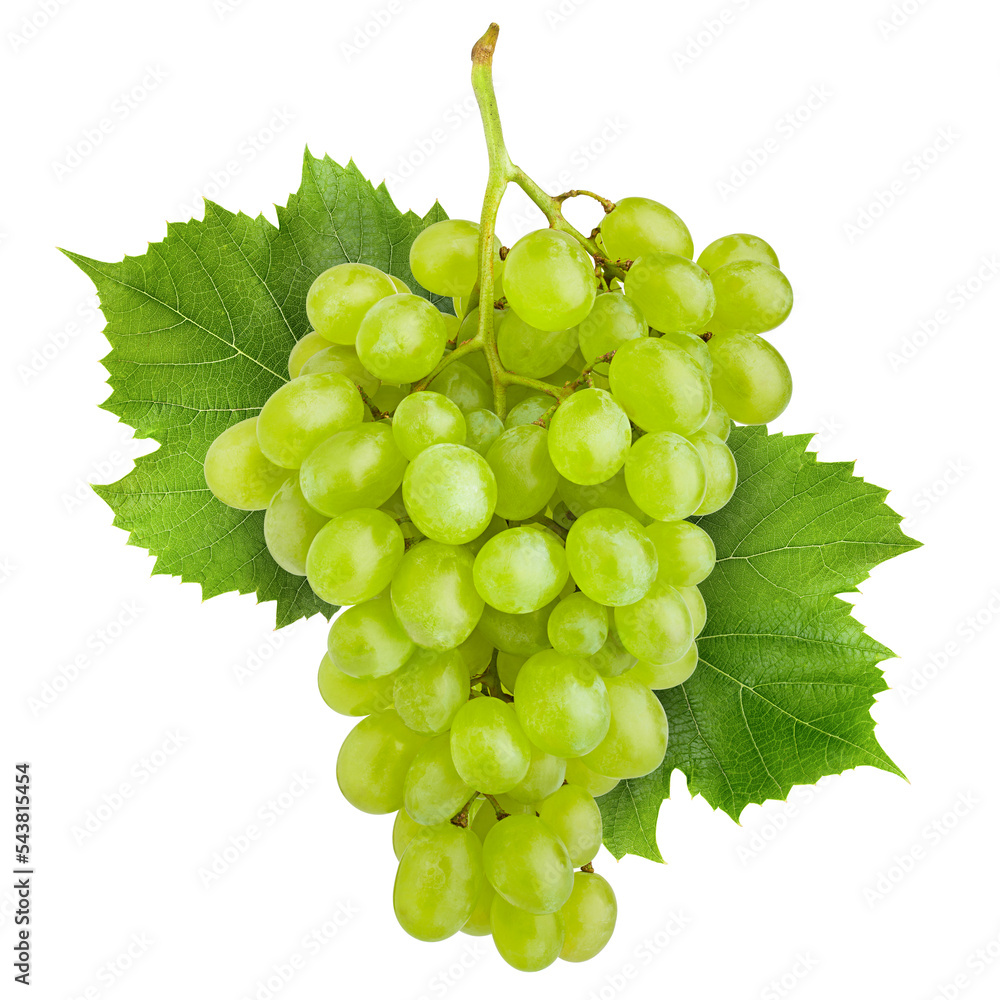 Green grape, isolated on white background, clipping path, full depth of field Green grape, isolated on white background, clipping path, full depth of field