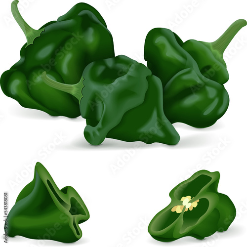 Whole and a quarter of green scotch bonnet peppers. Capsicum chinense. Hot chili pepper. Fresh organic vegetables. Vector illustration isolated on white background.
