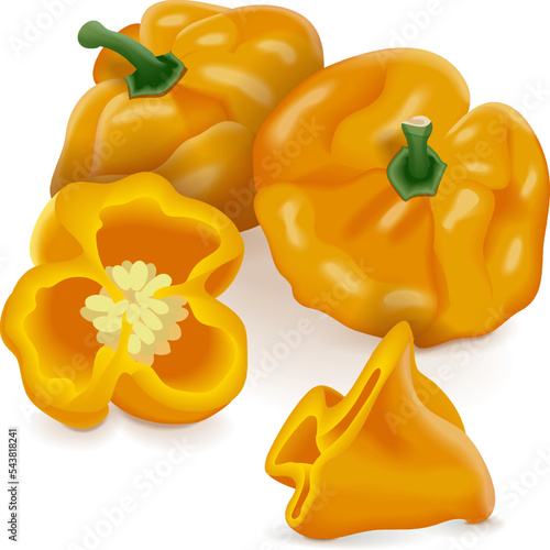 Whole and a quarter of yellow scotch bonnet peppers. Capsicum chinense. Hot chili pepper. Fresh organic vegetables. Vector illustration isolated on white background.