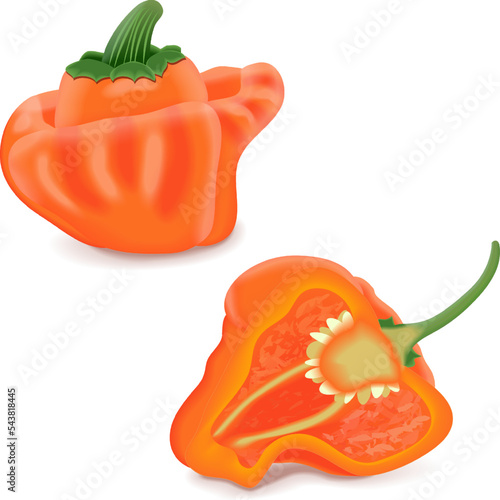 Whole and half of orange scotch bonnet peppers. Capsicum chinense. Hot chili pepper. Fresh organic vegetables. Vector illustration isolated on white background.