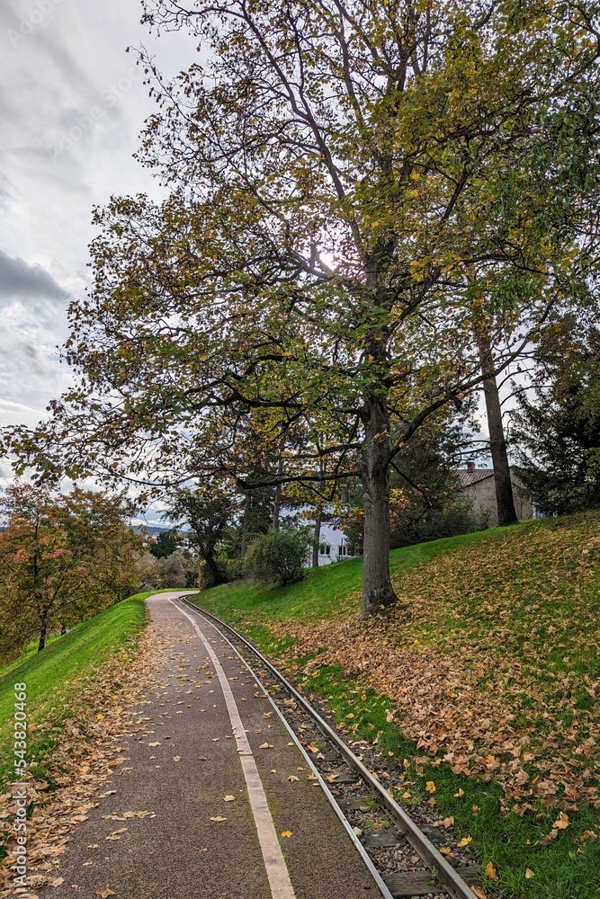 autumn landscape with red yellow golden leaves and a rail in Killesberghöhe park Killesberg Stuttgart