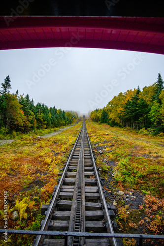 Fall season colours in North West USA during early fall