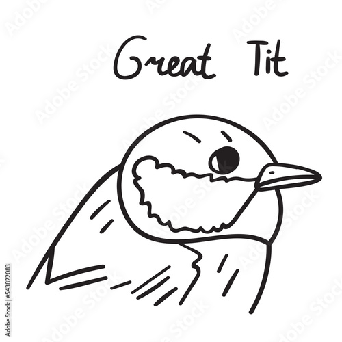 Great tit. Vector outline black color illustration.