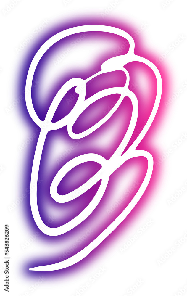 Obraz premium Collection of abstract lines