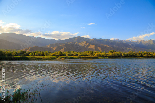 Lake in the mountains. Quiet bay in the greenery at sunset. Place for rest. Kyrgyzstan, Lake Issyk-Kul