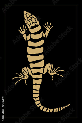 Cover for cards with a gold  lizard. Tarot vector illustration