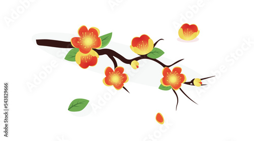 Vietnamese Tet holiday with yellow flower	
