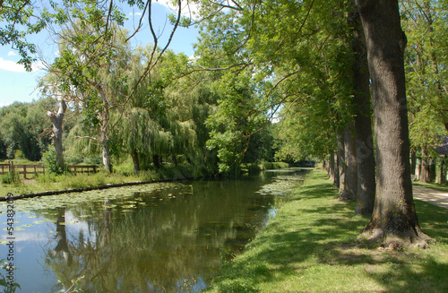 Ville de Chantilly, Canal de Manse, cours d'eau ombragé et nénuphars, Oise, France