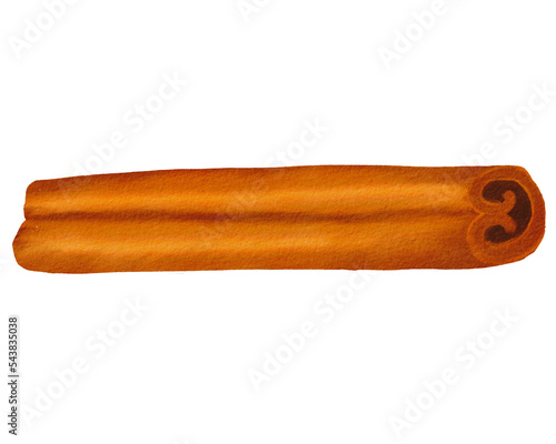 Watercolor Cinnamon stick