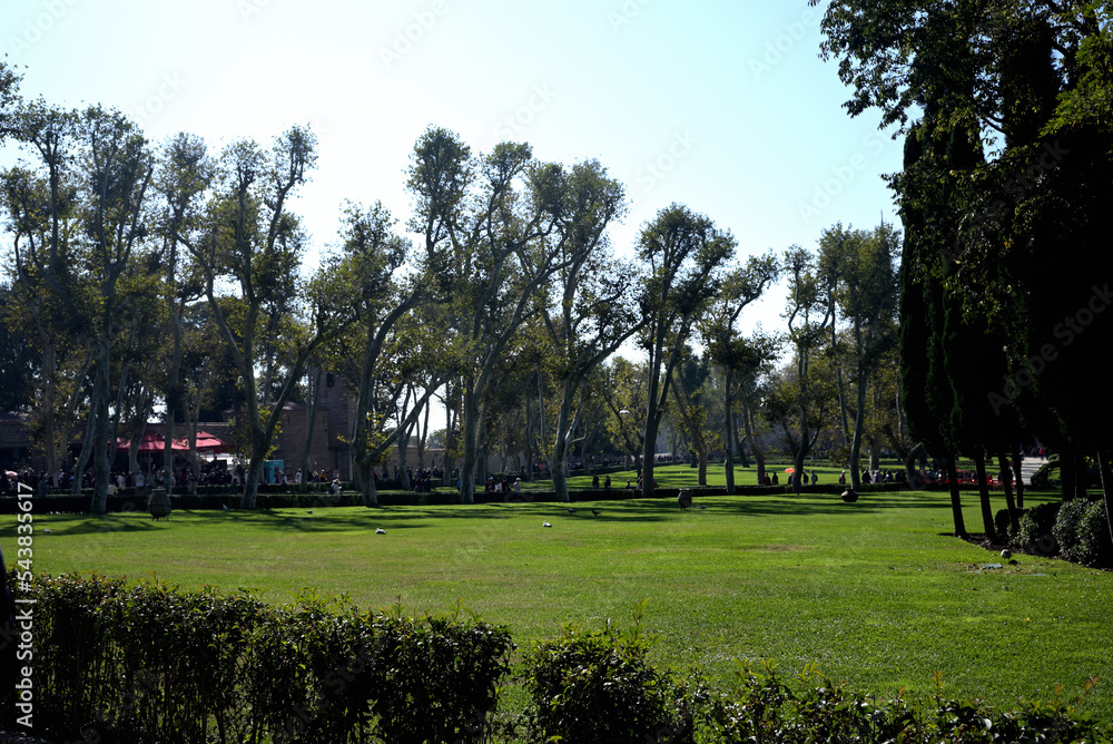 Obraz premium 自然公園