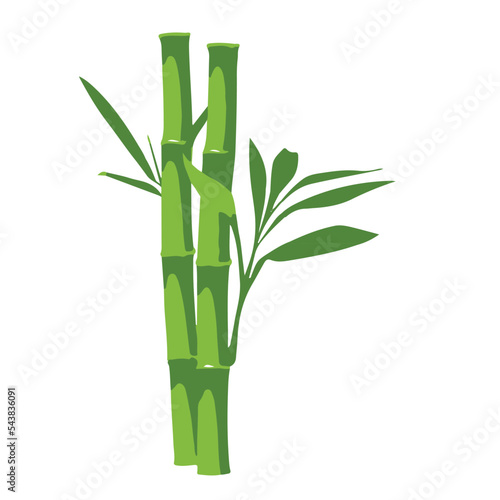 asian bamboo tree vector design
