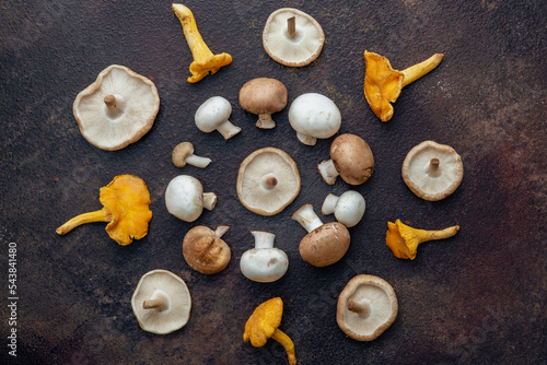 edible mushrooms in a circle, top view, different types like champignons, chanterelles and shimeji