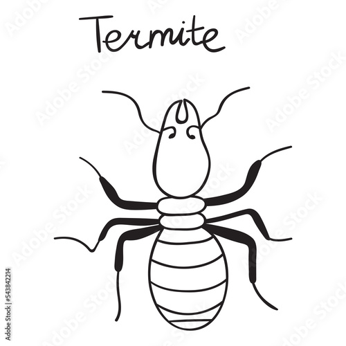 Termite. Outline icon. Nature. Insects. Vector design.
