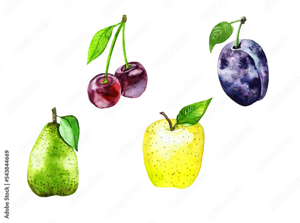 Png set of illustrations fruit apple pear cherry plum watercolor on a ...
