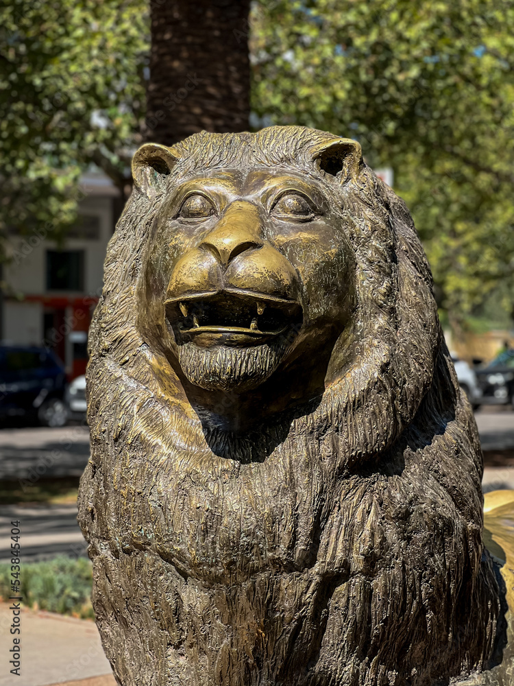 Portrait of a bronze statue of a lion downtown Fez