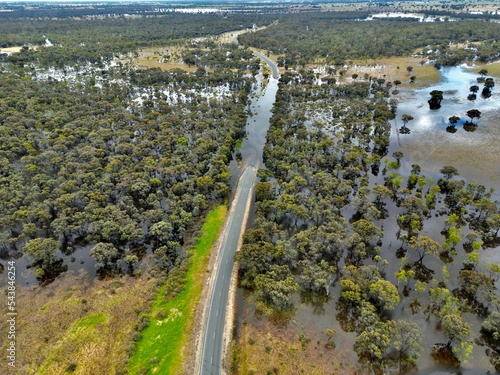 Rural, Murray River, Riverina, Irrigation, Flood, Deniliquin, Crop